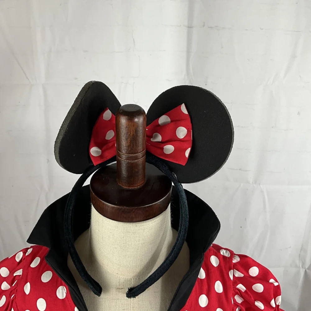 Girls Jerry Beck Minnie Mouse Costume With Ears